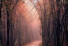 海星体育：雷霆队亚历山大的父亲表示，称亚历山大为“犯规贩子”是愚蠢的.