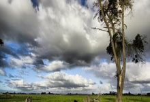 海星体育：[英超]苏维门迪选择留队 利物浦引援受阻.