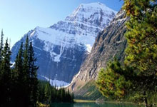 拉菲尼亚对阿根廷放狠话，迪马利亚评论笑哭表情😂.